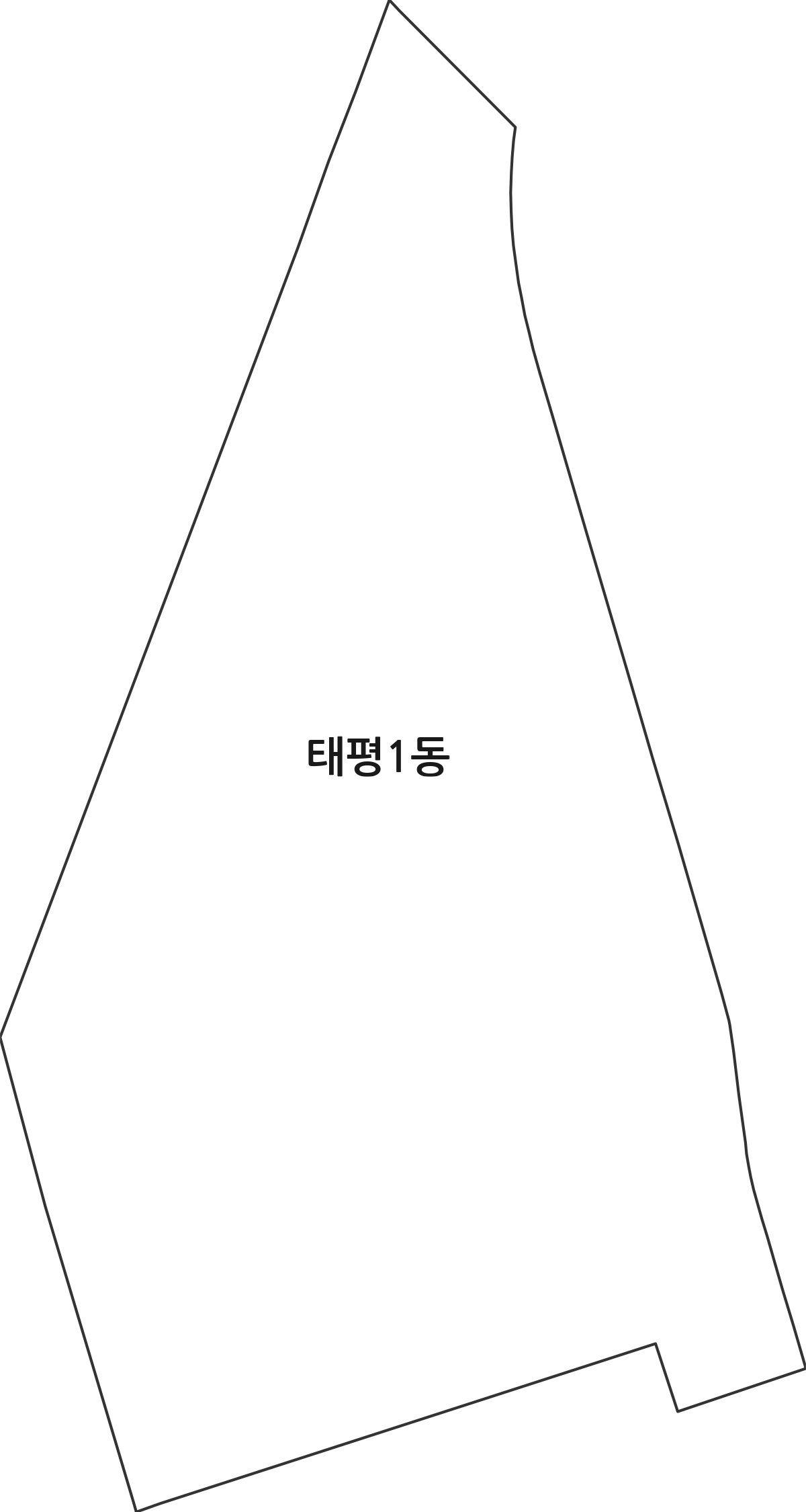 대전광역시 중구 태평1동 행정동 행정구역 경계 지도