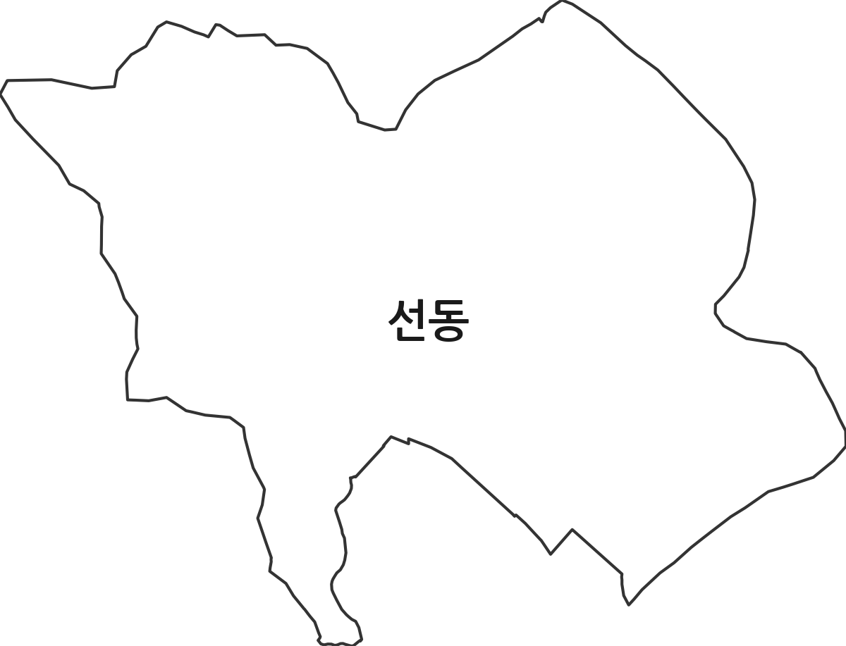 광주광역시 광산구 선동 법정동 행정구역 경계 지도