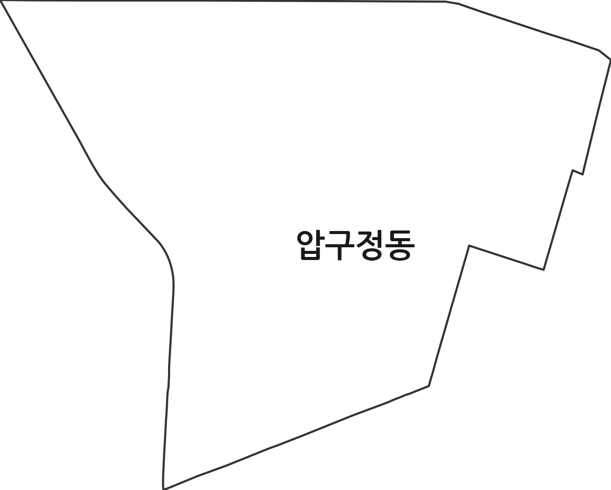 서울특별시 강남구 압구정동 행정동 행정구역 경계 지도