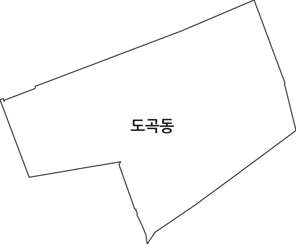 서울특별시 강남구 도곡동 법정동 행정구역 경계 지도
